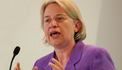 Greens pledge to cut VAT on housing repairs