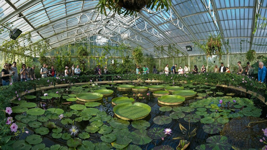 Kew Gardens is one of the 160 public sector organisations receiving funding. Image: DAVID ILIFF (WikiCommons).