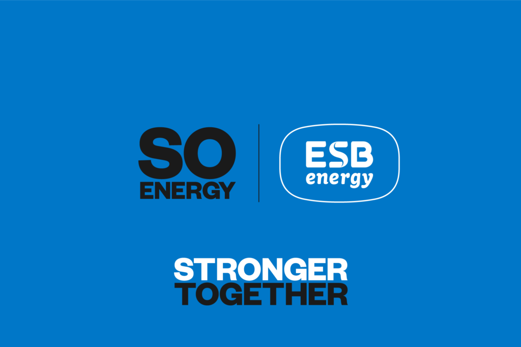 So Energy no longer exploring additional funding options after return of a 'more stable market'. Image: ESB.