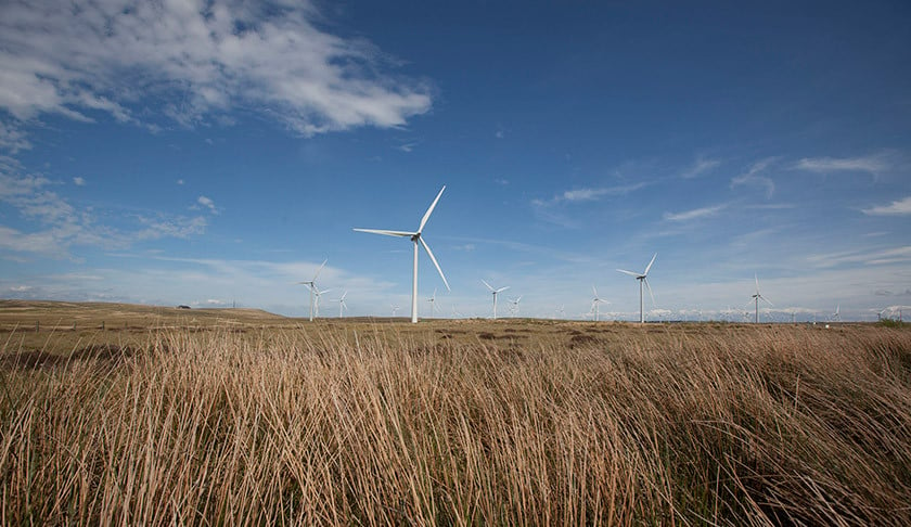 Green hydrogen: silver bullet or cog in the machine? Image: Scottish Power.