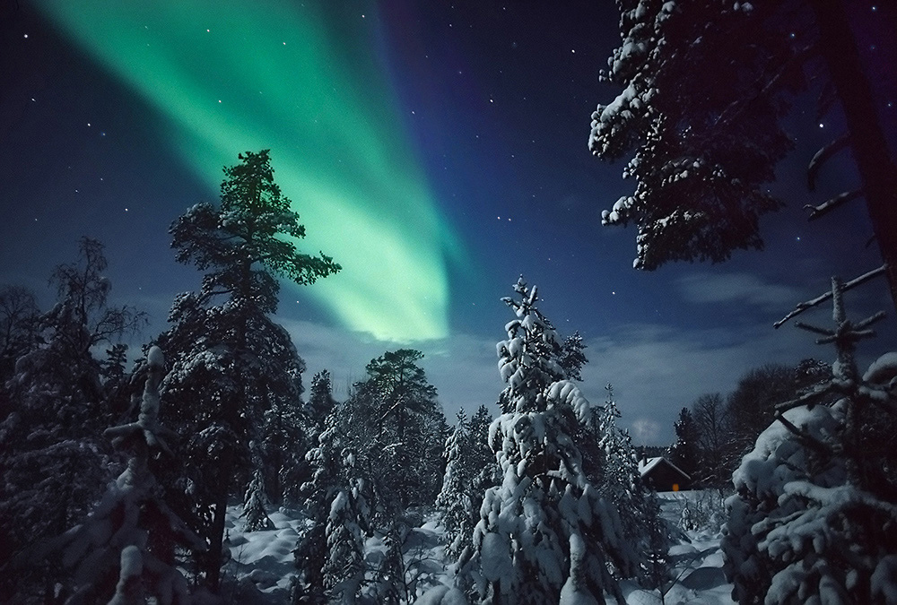 Lapland for sale: Rare-earth mining gears up in nature’s last refuge
