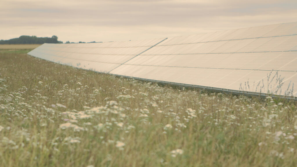 Toddington Harper champions solar farms for biodiversity