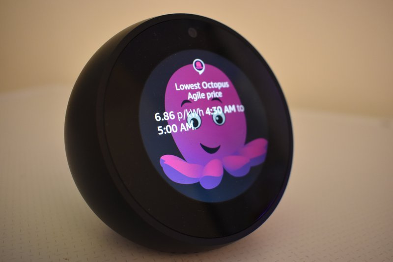 Octopus introduces rewards scheme for smart meter users. Image: Octopus Energy.