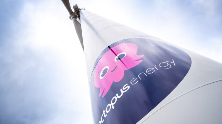 Octopus Energy to purchase Shell Energy UK and Germany. Image: Octopus Energy.