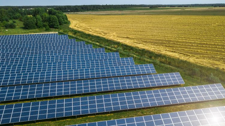 Of the renewable energy sources added, solar PV accounted for three-quarters of additions worldwide. Image: Bank Renewables.