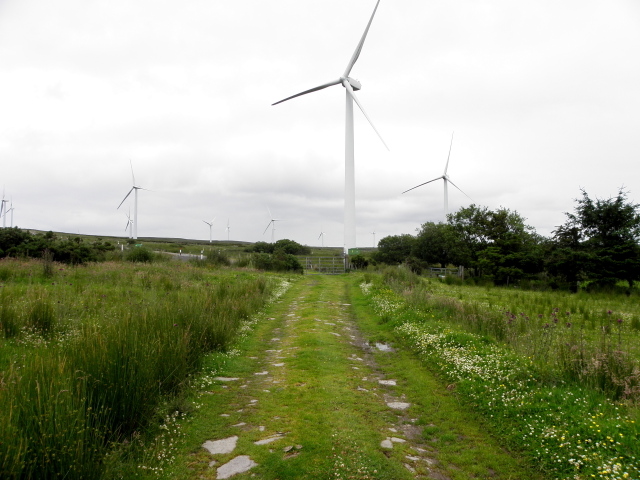 Northern Ireland has benefitted significantly from natural wind resources, but a lack of national governance has hindered its net zero ambitions. Image: Kenneth Allen (geograph).