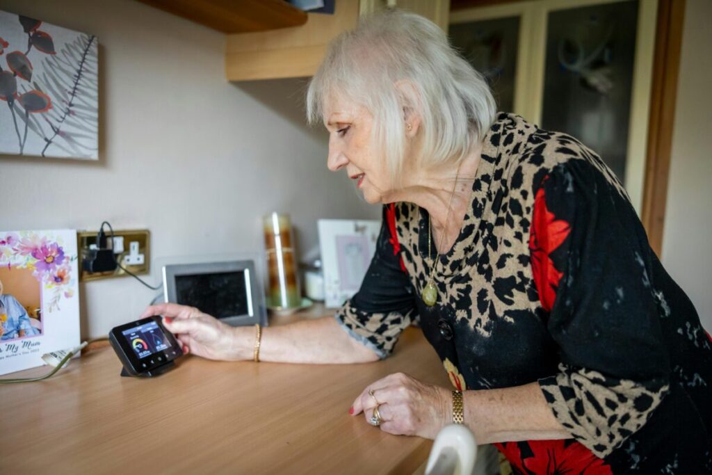 An elderly woman looks at a smart meter