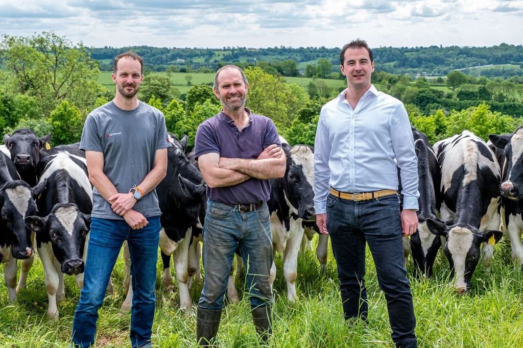 Three white men stand in a green field with cows behind them.