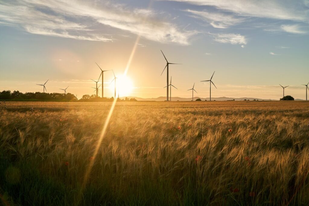 Sunset over golden field with wind turbines in the background