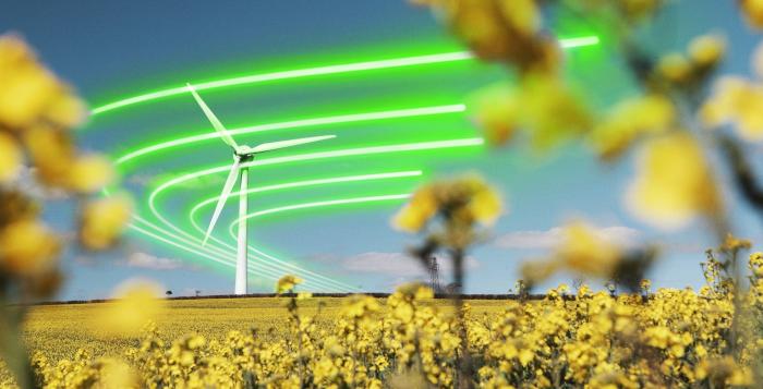 Green rays of light loop around a wind turbine behind a field of flowers