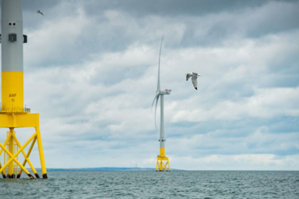 Bird flying past wind turbines