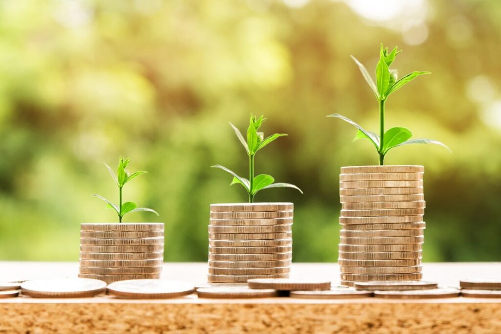 piles of coins with seedlings on top
