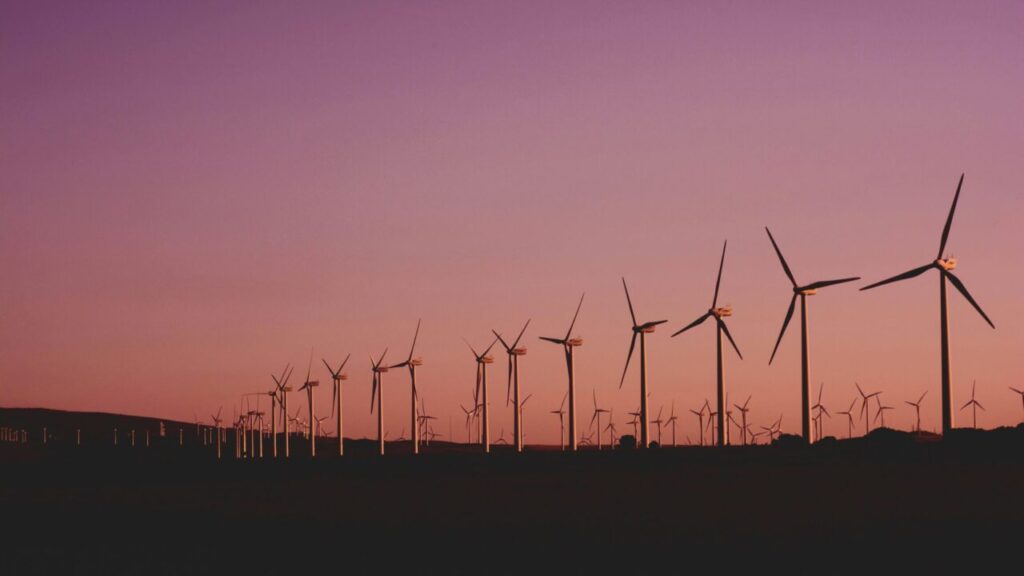 A long line of wind turbines at sunset