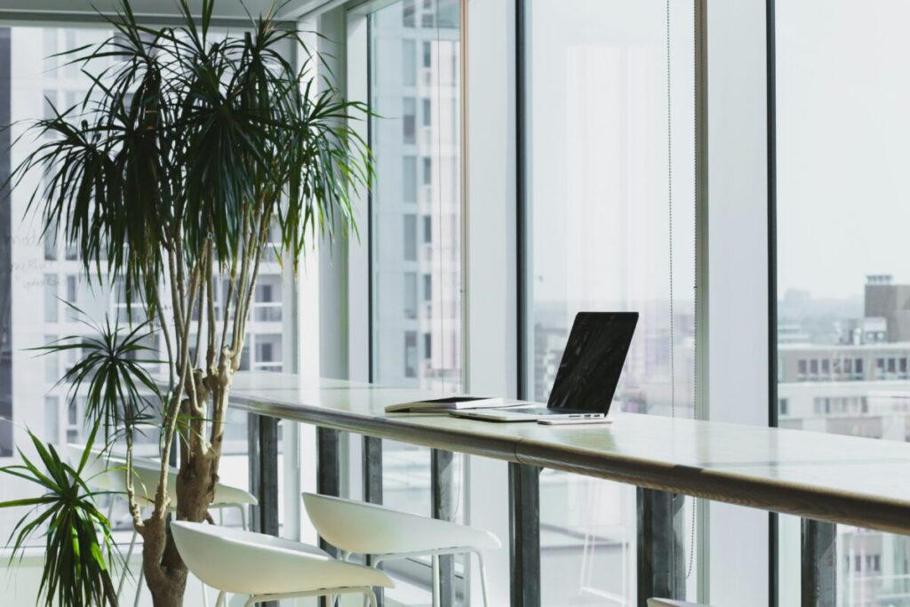A laptop on a desk by a large pot plant