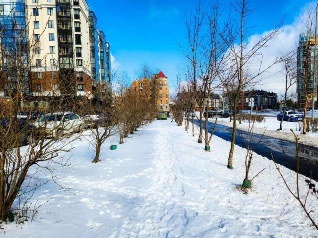 A snow covered city street