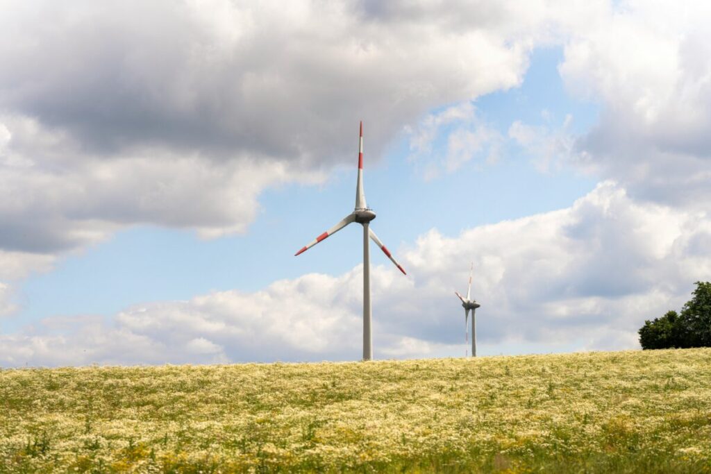 wind turbines in flower fields under clouds