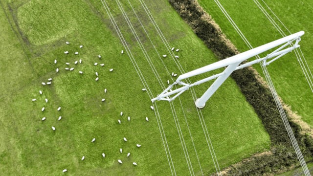 an overhead shot of a pylon on green fields with sheep