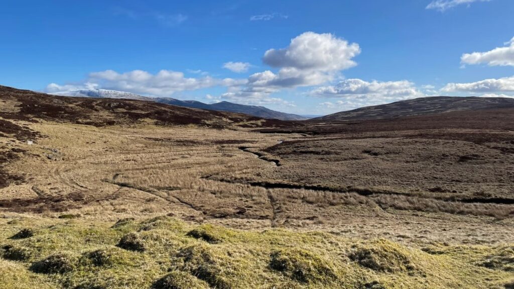 rolling hills under a blue sky