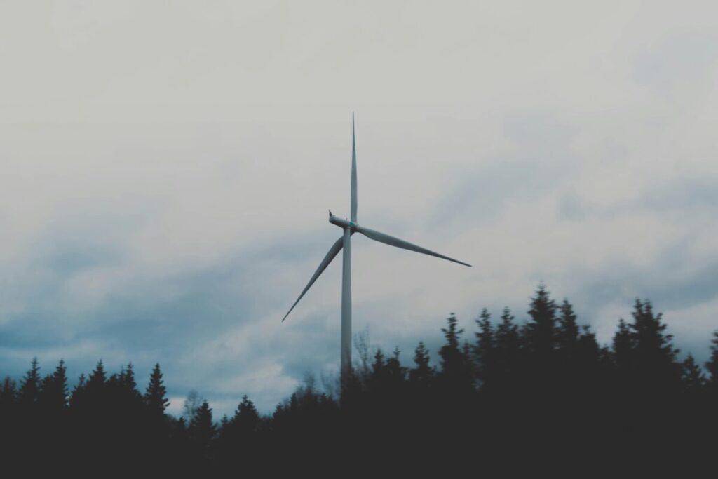 wind turbines and mist