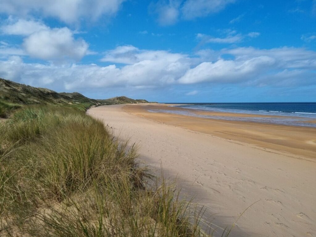 a beach on a bright day