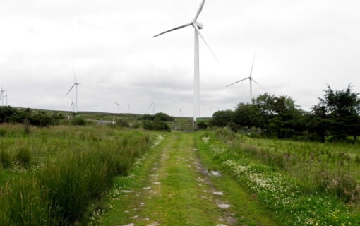 Northern Ireland has benefitted significantly from natural wind resources, but a lack of national governance has hindered its net zero ambitions. Image: Kenneth Allen (geograph).