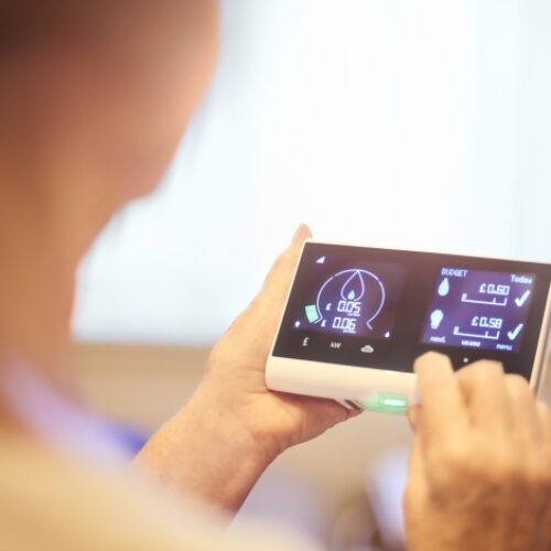 a woman looks at a smart meter