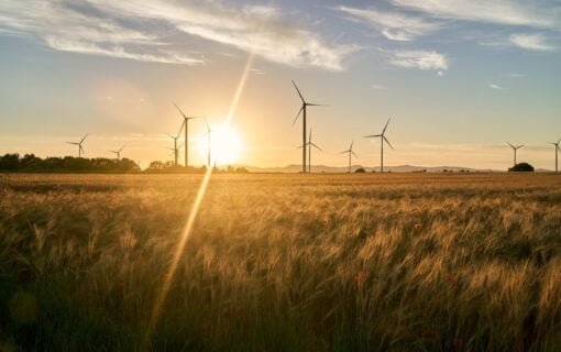 Sunset over golden field with wind turbines in the background