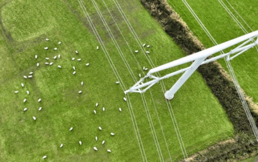 Hinkley-T-pylon-NG