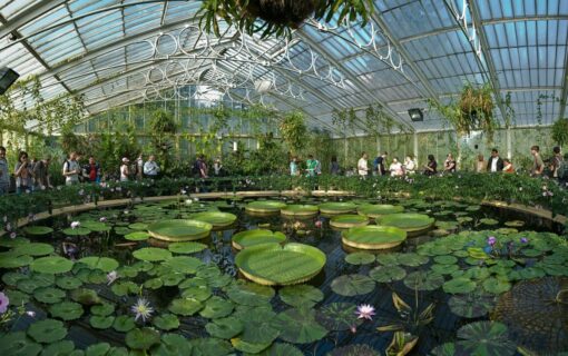 Kew Gardens is one of the 160 public sector organisations receiving funding. Image: DAVID ILIFF (WikiCommons).