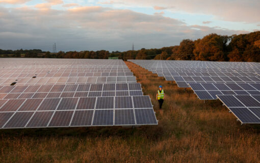 Newman at a solar asset. Image: Limejump.