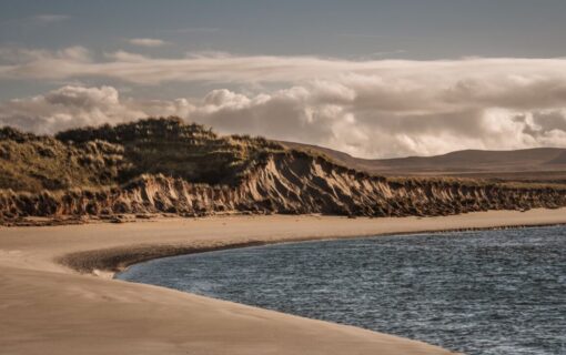 A sweeping brown coastline