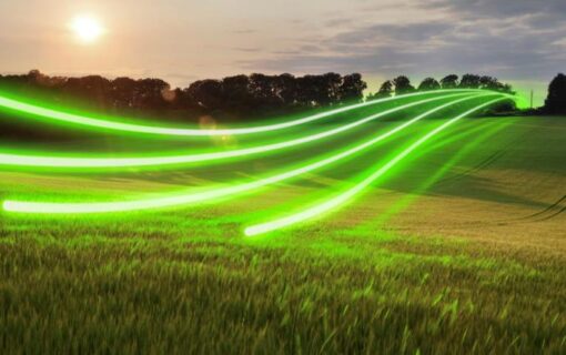 STREAMS OF LIGHT ACROSS A FIELD AT DUSK