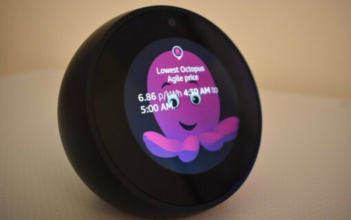 Octopus introduces rewards scheme for smart meter users. Image: Octopus Energy.