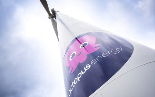 Octopus_Energy_Fan_Club_-_3_6.width-800