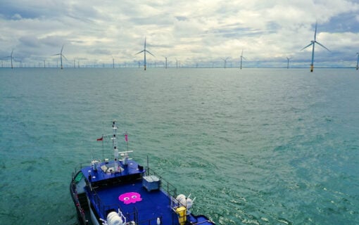 Octopus's Lincs offshore wind farm. Image: Octopus