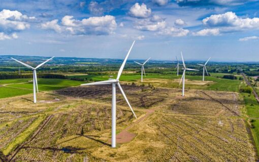 wind turbines in wheat fields