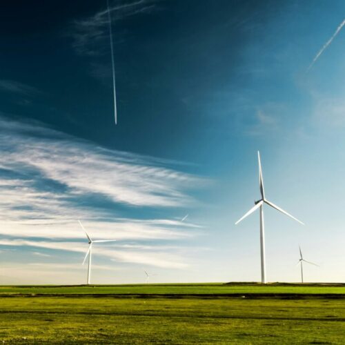 wind turbines in a wide open field