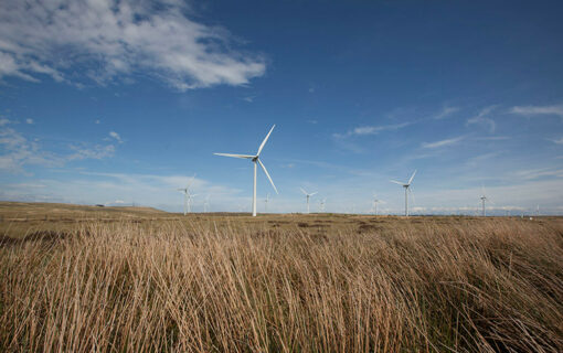 Green hydrogen: silver bullet or cog in the machine? Image: Scottish Power.