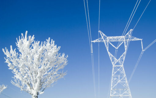In total the Demand Flexibility Service tests have procured over 1.5GWh of capacity. Image: Getty.