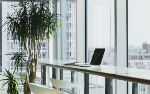A laptop on a desk by a large pot plant