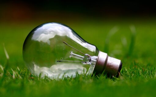 a lightbulb lying in green grass