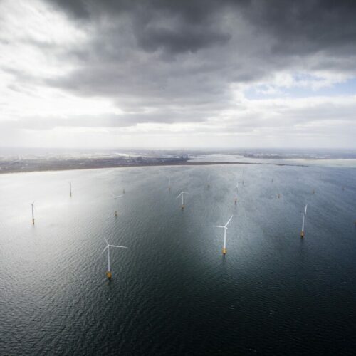 EDF's Teeside offshore wind farm. Image: EDF.