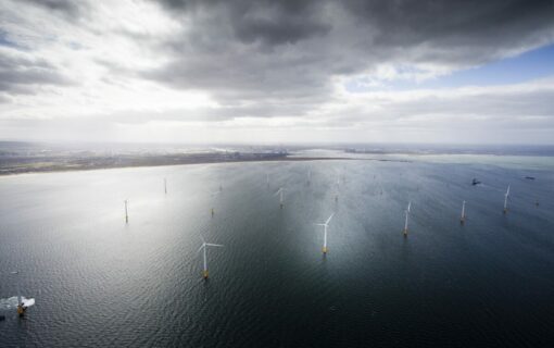 EDF's Teeside offshore wind farm. Image: EDF.