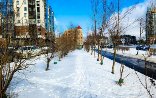 A snow covered city street