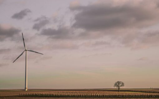 a wind turbine at a distance next to a small tree