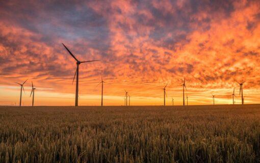 wind turbines on a grassy field at sunset