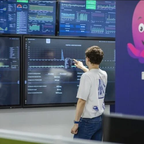 a person looks at screens with their back to the camera next to a large panel with the octopus energy logo on