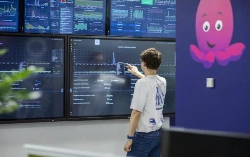 a person looks at screens with their back to the camera next to a large panel with the octopus energy logo on
