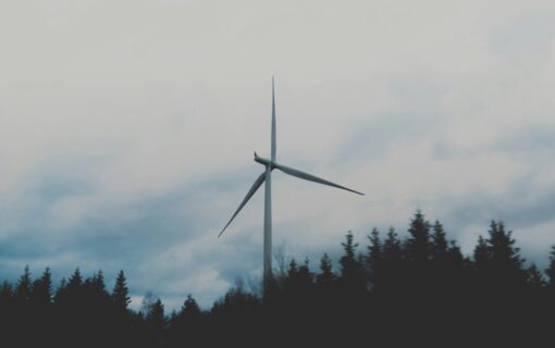 A single wind turbine in a blue tinted image, behind silhouetted trees and in front of a cloudy sky