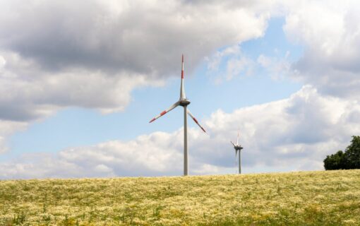 wind turbines in flower fields under clouds
